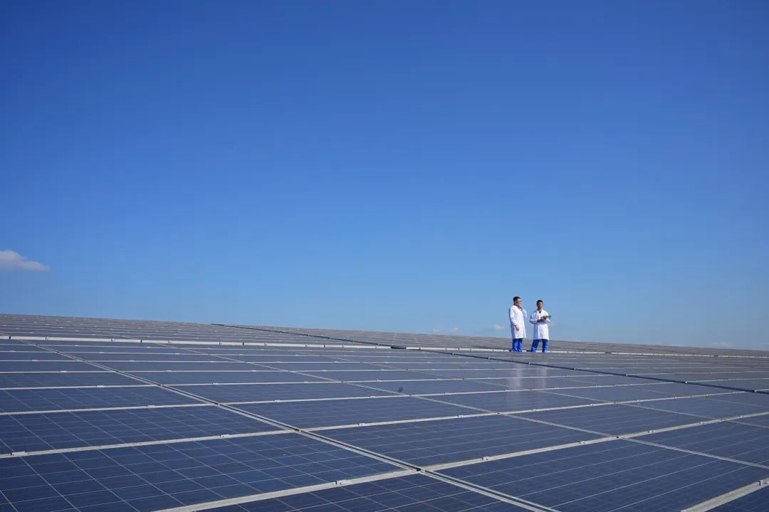 GA黄金甲(中国)最新官方网站