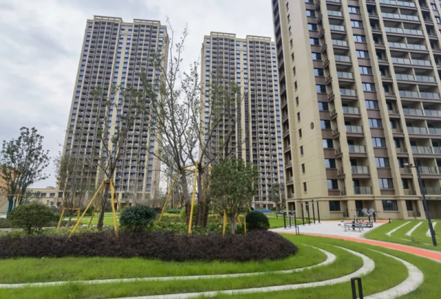 践行都会共建使命1516.png